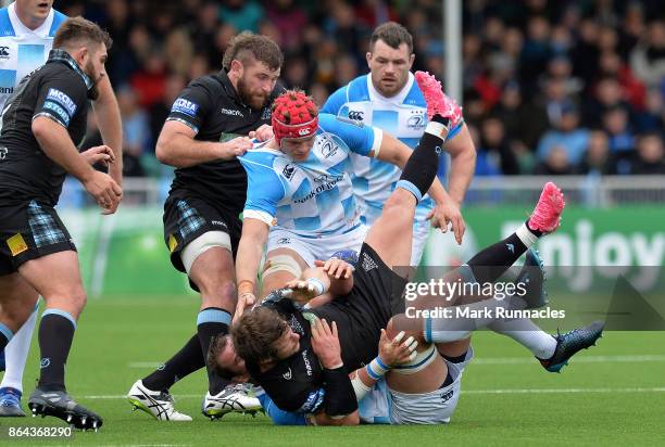 Peter Rann Rugby Peter Ruddock Photos et images de collection - Getty Images