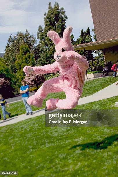 person in easter bunny costume jumping - rabbit costume stock pictures, royalty-free photos & images