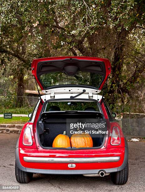 two pumpkins in the trunk of a car - car trunk 個照片及圖片檔