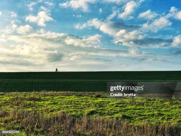 lonely cyclist on the dyke  in yerseke, zeeland, the netherlands - cycling netherlands stock pictures, royalty-free photos & images