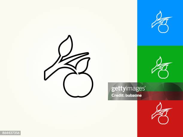 growing apple black stroke linear icon - hanging succulent stock illustrations