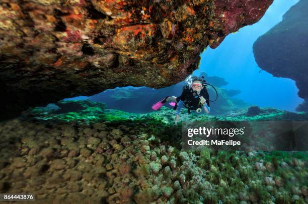 小女孩水肺潛水在費爾南多-迪諾羅尼亞 - scuba diving girl 個照片及圖片檔