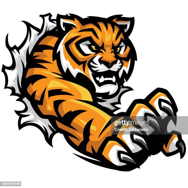 tiger träne sport kit - fighting stance stock-grafiken, -clipart, -cartoons und -symbole