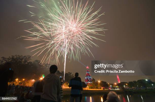 christmas time in sao paulo - ibirapuera park stock pictures, royalty-free photos & images