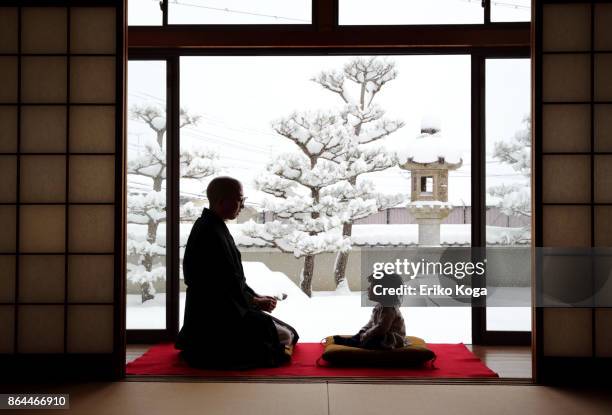 father talking to baby in background of snowy garden - chinese temple imagens e fotografias de stock