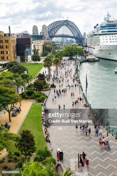 international cruise ship docked at circular quay, international terminal, sydney, australia - circular quay stock pictures, royalty-free photos & images