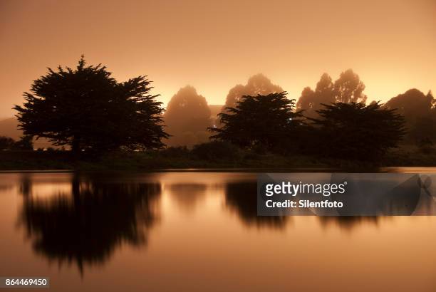 on mirror pond - berkeley aquatic park, northern california - ambient light stock pictures, royalty-free photos & images
