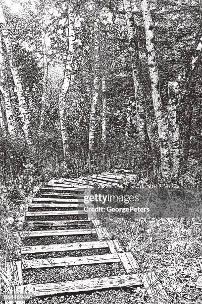 footpath steps in gooseberry falls state park, minnesota - gooseberry falls state park stock illustrations