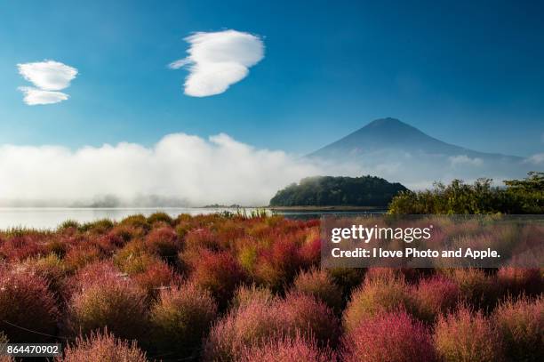 home away from home - yamanashi prefecture 個照片及圖片檔