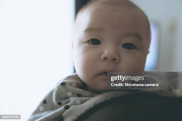 baby boy 2months - shiratama camera stock pictures, royalty-free photos & images
