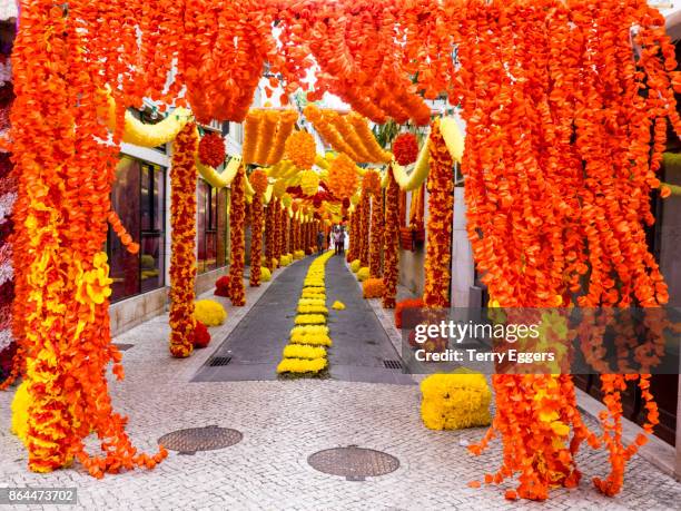 , streets of tomar decorated with paper flowers for the festival of the trays - tomar stock pictures, royalty-free photos & images