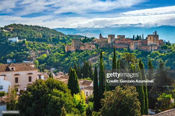 the alhambra at granada spain - granada spanje stockfoto's en -beelden