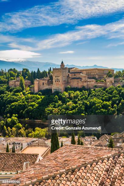 the alhambra at granada spain - alhambra and granada stock pictures, royalty-free photos & images