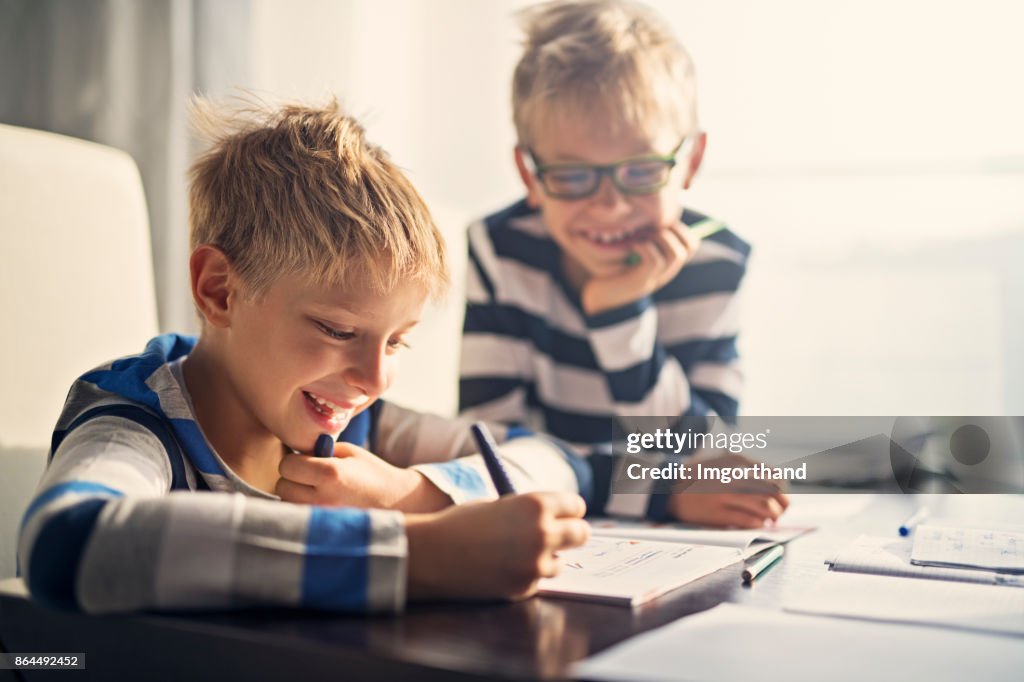 Brothers having fun doing homework together