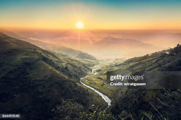 rice paddy fields on terraced. - rice terrace - fotografias e filmes do acervo