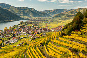Weissenkirchen Wachau Austria in autumn colored leaves and vineyards on a sunny day