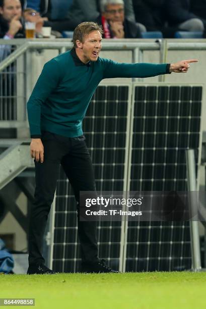 Head coach Julian Nagelsmann of Hoffenheim gestures during the UEFA Europa League Group C match between 1899 Hoffenheim and Istanbul Basaksehir F.K...