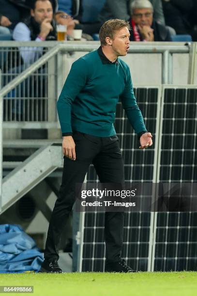 Head coach Julian Nagelsmann of Hoffenheim gestures during the UEFA Europa League Group C match between 1899 Hoffenheim and Istanbul Basaksehir F.K...