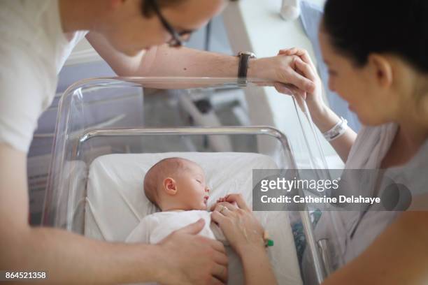 a newborn and his parents at the maternity ward - baby crib stockfoto's en -beelden