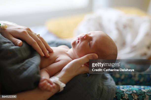 a newborn sleeping in the arms of his mum at the maternity ward - new born stock-fotos und bilder