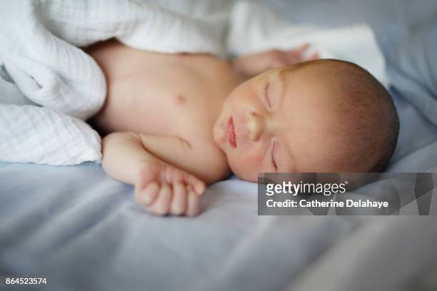 a newborn sleeping at the maternity ward - hospital nursery stock pictures, royalty-free photos & images