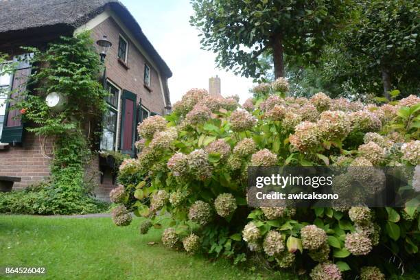 a traditional dutch landscape in overijssel the netherlands - canal disney stock pictures, royalty-free photos & images