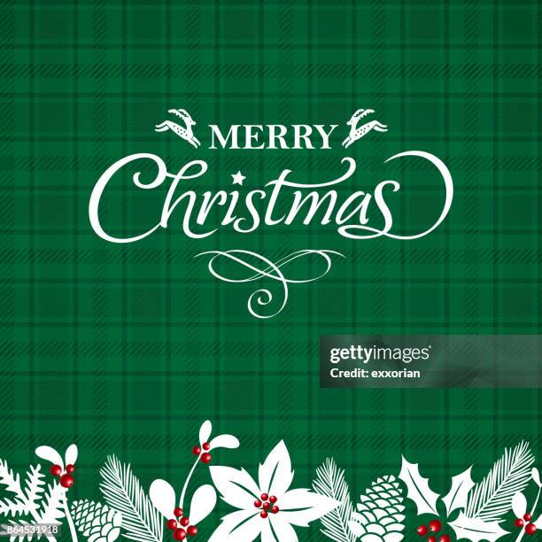merry christmas greeting card - christmas tartan stock illustrations