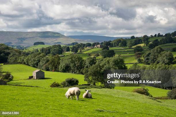 beautiful countryside in wensleydale, north yorkshire, england - pennines stockfoto's en -beelden