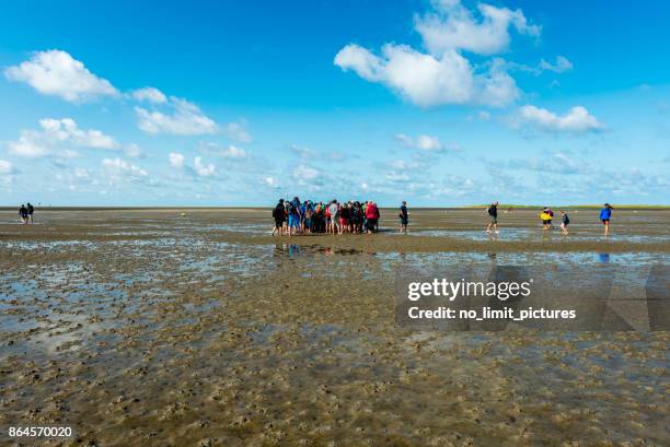 mud flat hiking at german north sea - mud flat stock pictures, royalty-free photos & images
