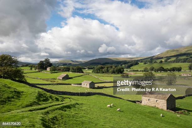 beautiful countryside in wensleydale, north yorkshire, england - barn stock pictures, royalty-free photos & images