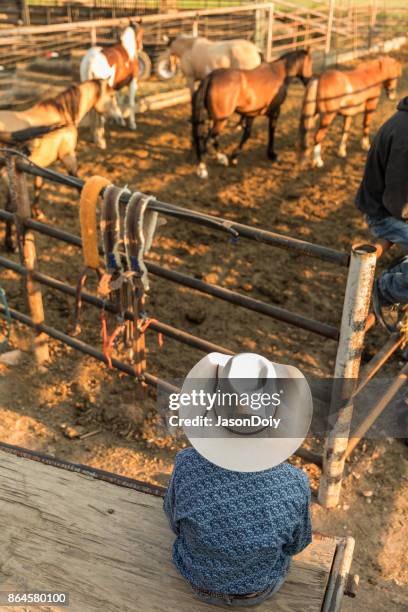 Bull Rodeo Fencing Rodeo Fence Photos and Premium High Res Pictures - Getty Images