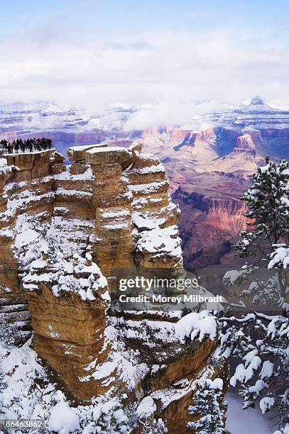 winter in grand canyon national park, flagstaff, arizona - flagstaff arizona 個照片及圖片檔