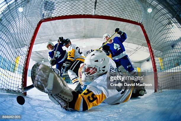 ice hockey, goalie reaching for puck rolling into goal (wide angle) - hockey player puck stock pictures, royalty-free photos & images