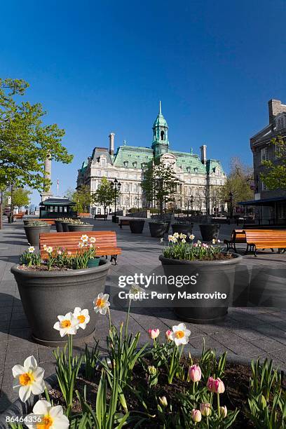 town square and place jacques cartier, old montreal, montreal, quebec, canada - place jacques cartier stock pictures, royalty-free photos & images