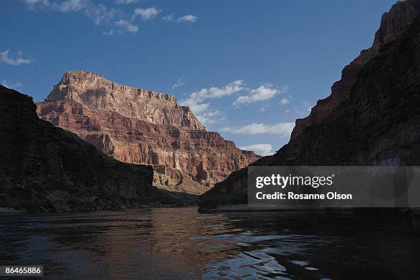 grand canyon and colorado river - rosanne olson stockfoto's en -beelden