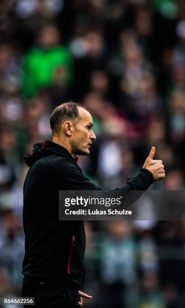 Head Coach Heiko Herrlich of Leverkusen gestures on the sideline during the Bundesliga match between Borussia Moenchengladbach and Bayer 04...