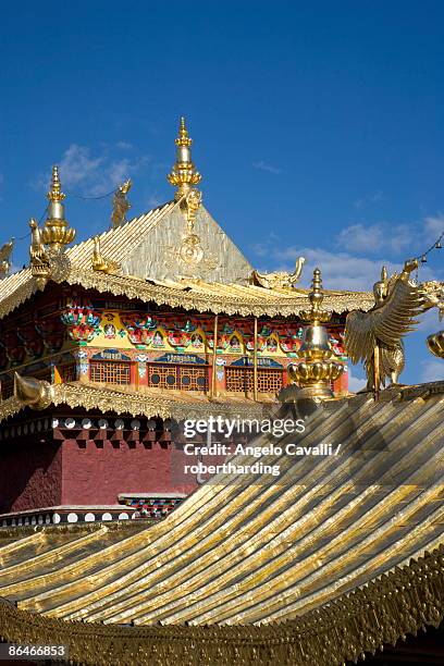 ganden sumsteling gompa (gandan sumtseling) (songzanlin si) buddhist monastery, shangri-la, formerly zhongdian, shangri-la region, yunnan province, china, asia - songzanlin monastery - fotografias e filmes do acervo