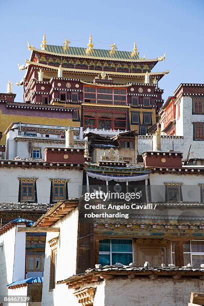 ganden sumsteling gompa (gandan sumtseling) (songzanlin si) buddhist monastery, shangri-la, formerly zhongdian, shangri-la region, yunnan province, china, asia - songzanlin monastery stock-fotos und bilder