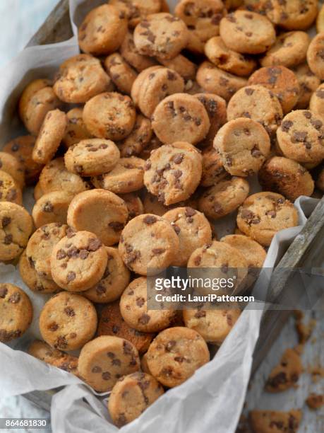 mini chocolate chip cookies - chocolate chip cookie stock-fotos und bilder