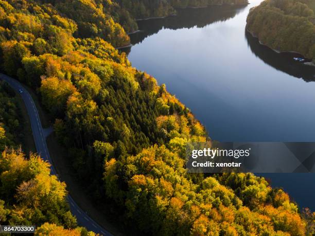 lake van gruyere in gouden herfst - xenotar stockfoto's en -beelden