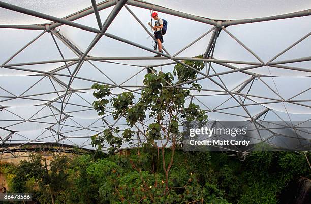 Balsa Rope Balsa Tree Photos and Premium High Res Pictures - Getty Images