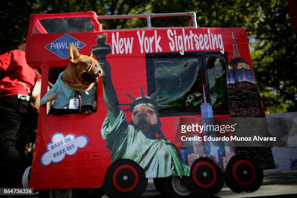 Dogs in costumes attend the 27th Annual Tompkins Square Halloween Dog Parade in Tompkins Square Park on October 21, 2017 in New York City. More than...