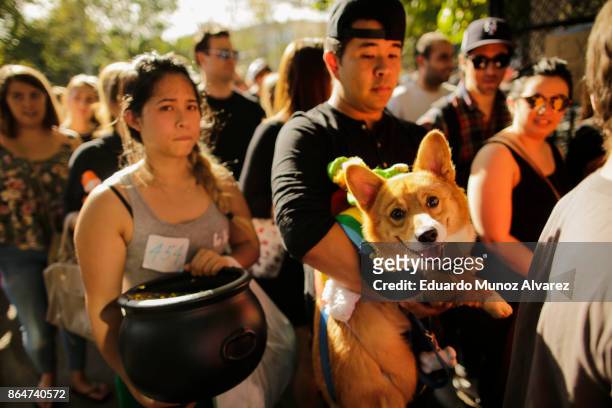 People attend with their dogs the 27th Annual Tompkins Square Halloween Dog Parade in Tompkins Square Park on October 21, 2017 in New York City. More...