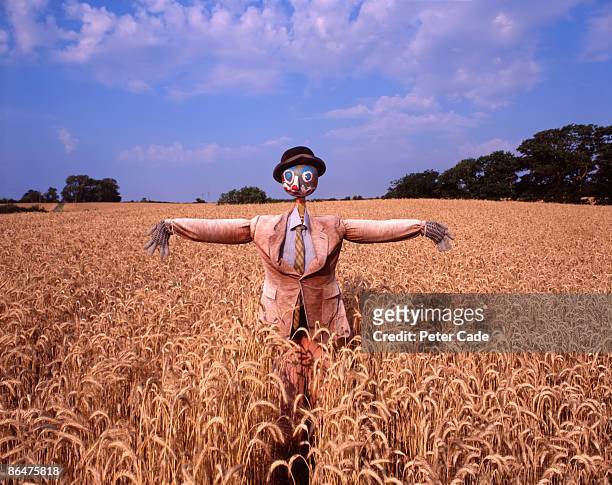 scarecrow - scarecrow fotografías e imágenes de stock