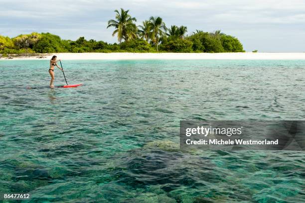 paddle boarding, maldives - ari atoll stock pictures, royalty-free photos & images