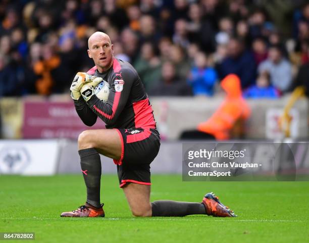 Wolverhampton Wanderers' John Ruddy during the Sky Bet Championship match between Wolverhampton and Preston North End at Molineux on October 21, 2017...