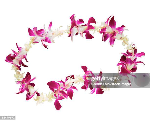 flower leis - flower necklace stock pictures, royalty-free photos & images