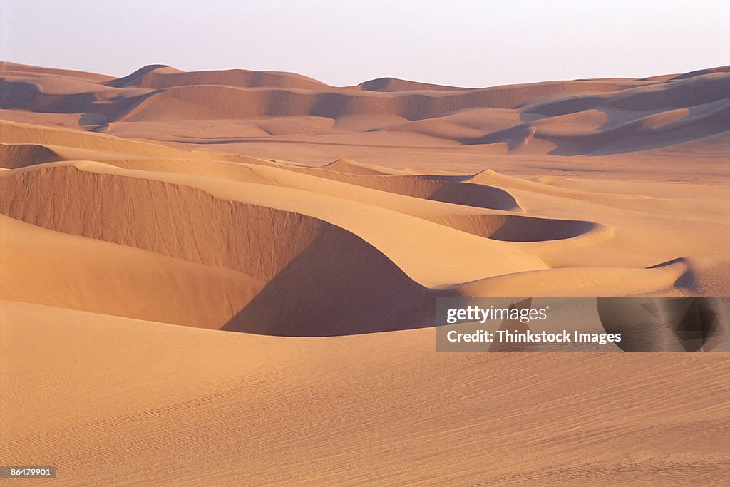 Desert with sand dunes