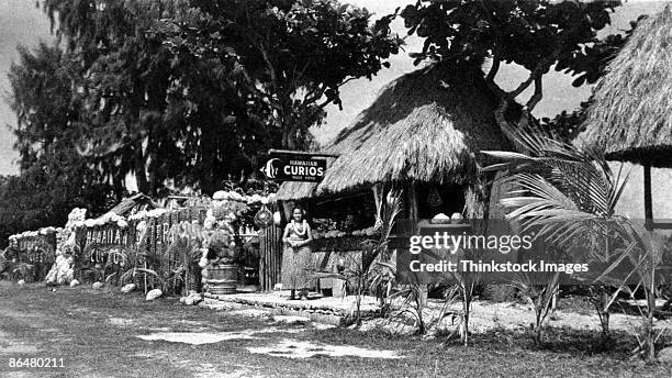 vintage image of woman in front of tourist stop, hawaii - hula stock-fotos und bilder