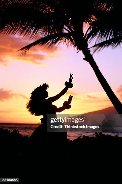 silhouette of hula dancer near coast, hawaii - polynesian dance - fotografias e filmes do acervo